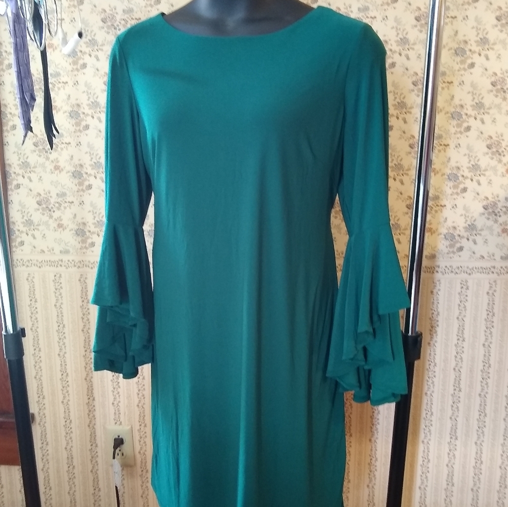 RN Studio by Ronnie Nicole  dress